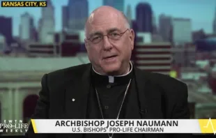 Archbishop Joseph Naumann on EWTN Pro-Life Weekly EWTN Pro-Life Weekly
